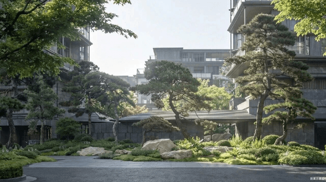 实景图